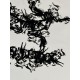 Arcteryx Clothing