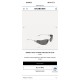 Balenciaga Glasses