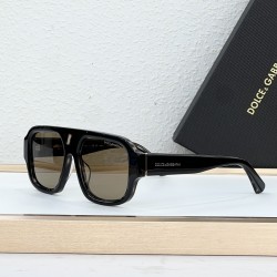 DG Glasses