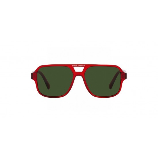DG Glasses