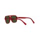 DG Glasses