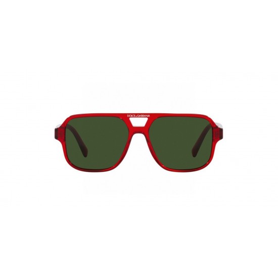 DG Glasses