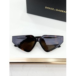 DG Glasses