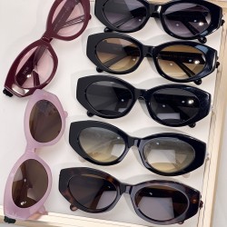 Dior Glasses