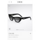 Dior Glasses