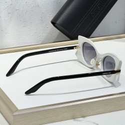 Dior Glasses