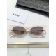 Dior Glasses