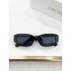 Dior Glasses