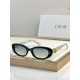Dior Glasses