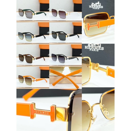 Hermes Glasses