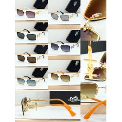 Hermes Glasses