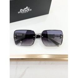 Hermes Glasses