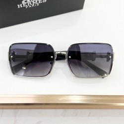 Hermes Glasses