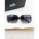 Hermes Glasses