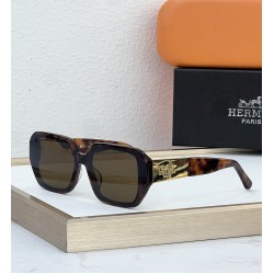 Hermes Glasses