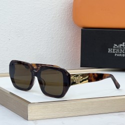 Hermes Glasses