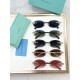 Tiffany Glasses