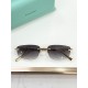 Tiffany Glasses