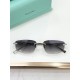 Tiffany Glasses