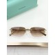 Tiffany Glasses