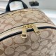 High-Quality Coach Bags and Purses, $30–$50