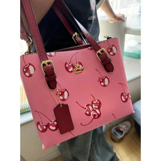 High-Quality Coach Bags and Wallets, $30–$50