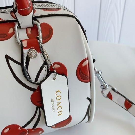 High-Quality Coach Bags and Wallets, $30–$50
