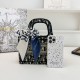High-Quality Dior Bags and Wallets, $30–$50