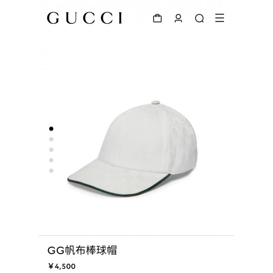 Gucci Hat
$30-$45