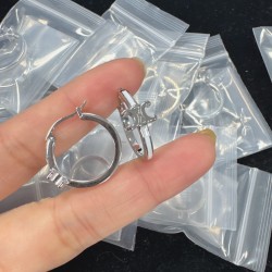 Celine Earrings