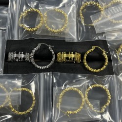 Celine Earrings
