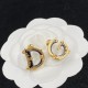 DG Earrings