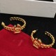 DG Earrings