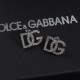 DG Earrings