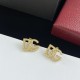 DG Earrings