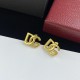 DG Earrings