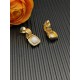 David Earrings