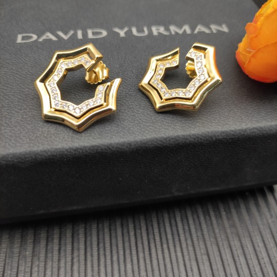 David Earrings