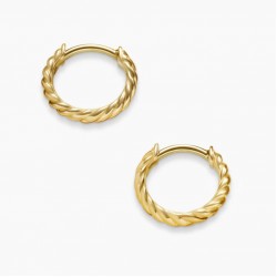 David Earrings