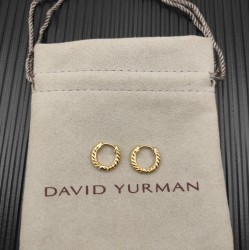 David Earrings