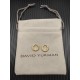 David Earrings