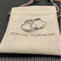 David Earrings
