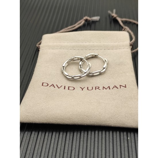 David Earrings