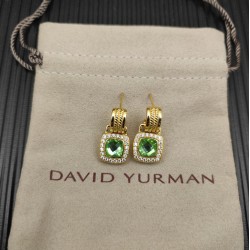 David Earrings