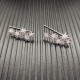 David Earrings