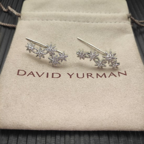 David Earrings