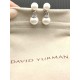 David Earrings