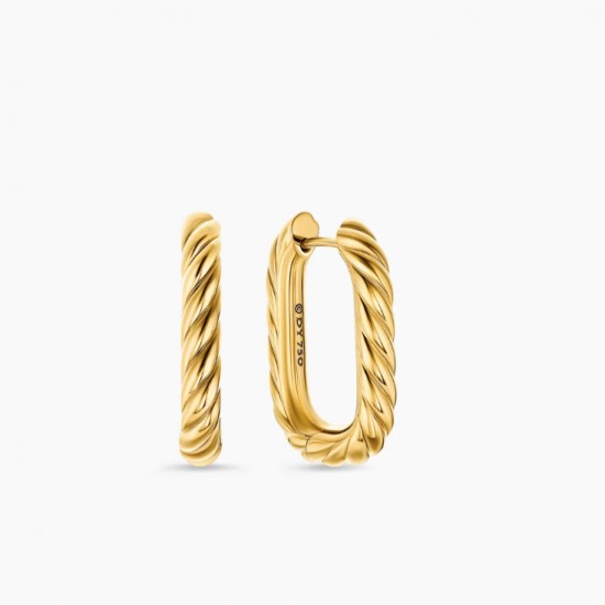 David Earrings