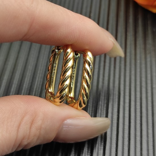 David Earrings