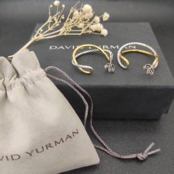 David Earrings